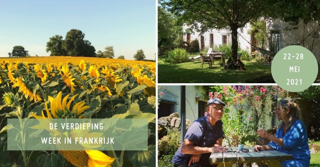 Petra Moes - De Kunst van Nuchter Leven - Vrij van alcohol