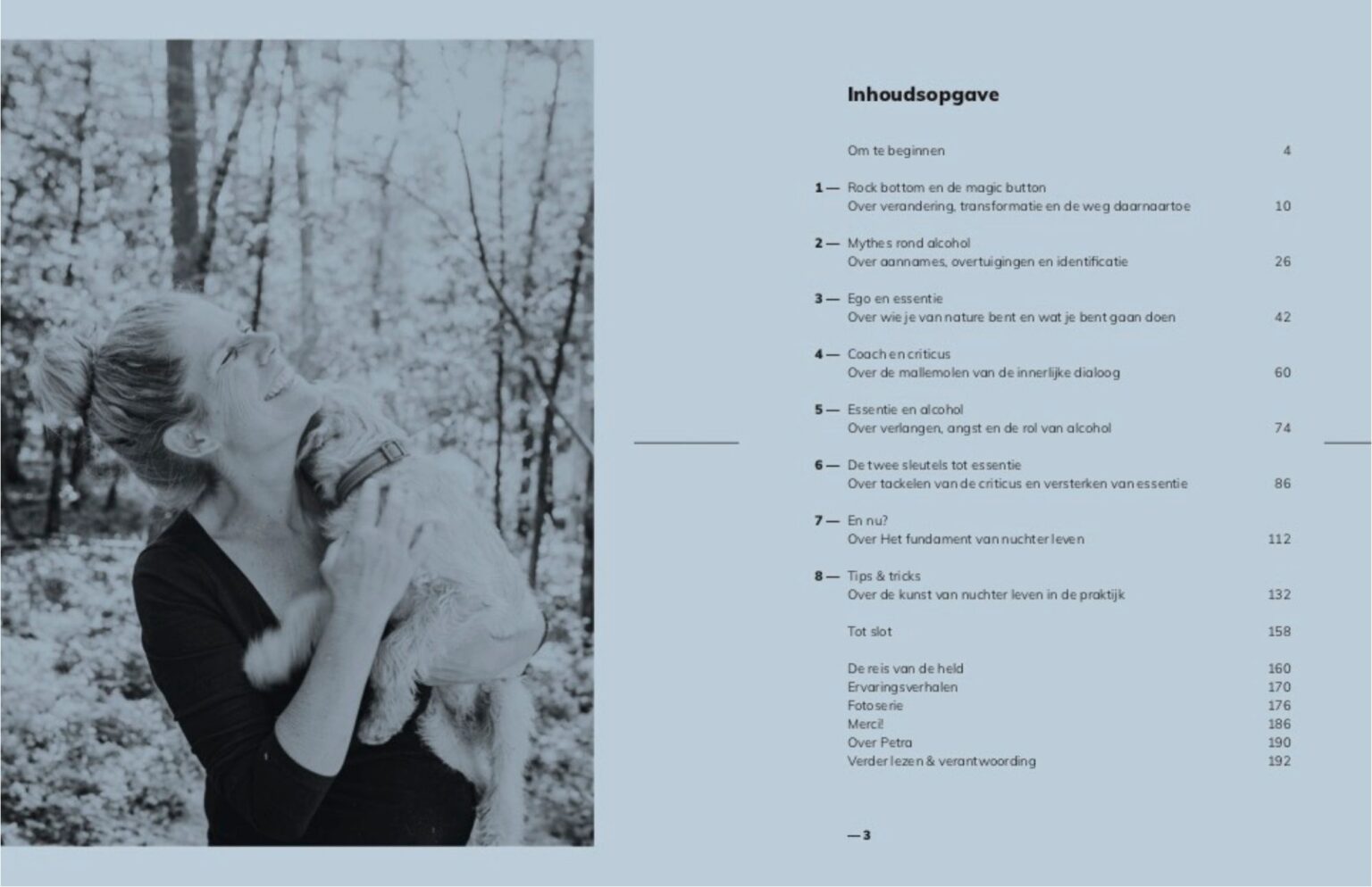 De kunst van nuchter leven - het boek - Petra Moes